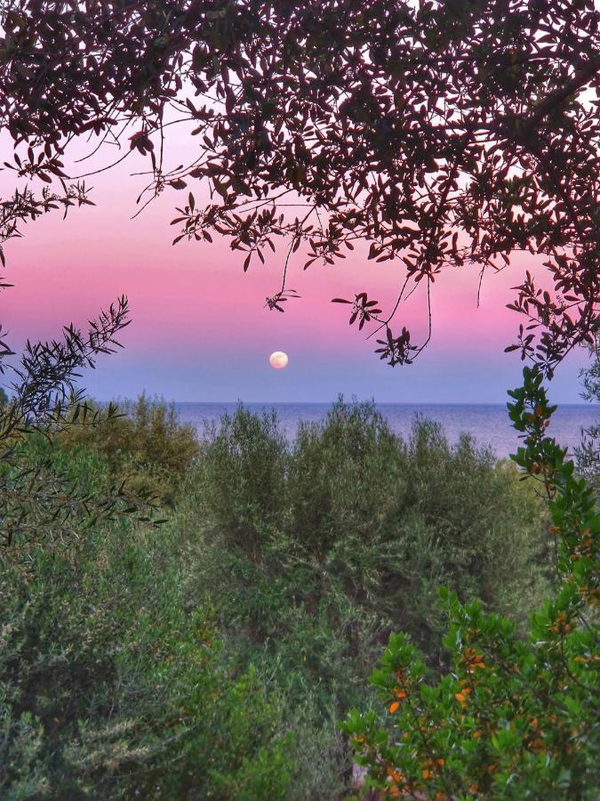 Porto Frailis Arbatax Casa Vista Mare别墅 外观 照片