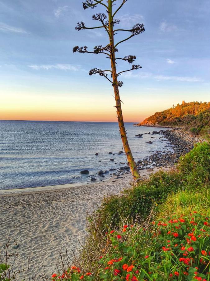 Porto Frailis Arbatax Casa Vista Mare别墅 外观 照片